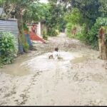 শার্শার সীমান্তবর্তী গোগা ও পুটখালী’র ৬টি স’মিল বন্ধ করলো-বিজিবি