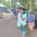 কুষ্টিয়ার কুমারখালীতে সাপের কামড়ে যুবকের মৃত্যু 