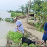 পুলিশের অভিযানে চোলাই মদ নষ্ট