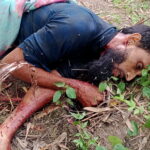 কুয়াকাটায় এক জালেই ৪৩ মণ ইলিশ,২০ লাখে বিক্রি