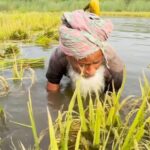 ছাগলনাইয়া একাডেমী এলামনাই এসোসিয়েশন ঈদ রিইউনিয়ন ফুটবল ফিয়েস্তা-২০২৫ ইং।