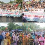 মহেশপুরে কৃষকের মাঝে নারিকেলের চারা বিতরণ