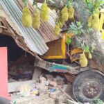 ঘোড়াশাল পৌর বিএনপির সভাপতির দায়িত্ব পেলেন আলম মোল্লা