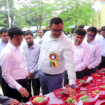 পলাশবাড়ীতে তিনটি সেতুর অভাবে ৫০ গ্রামের মানুষের এ দুর্ভোগ আর কতদিন!