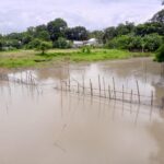 নতুন সংবিধানই আমাদের প্রধান দাবি: নাহিদ