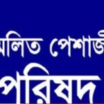 সিরাজগঞ্জে বাসা থেকে গাভীন গরু চুরি