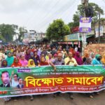 পলাশবাড়ীতে দশ কেজি গাঁজাসহ গ্রেফতার দুই 
