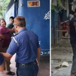 ইবি ছাত্রীকে মারধরের ঘটনায় খেলাফত ছাত্র মজলিসের নিন্দা ও প্রতিবাদ