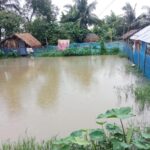 পাশ না করায়  আত্মহত্যার পথ বেঁচে নিলেন শিক্ষার্থী।