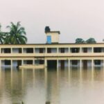 পাথরঘাটায় জামায়াত কর্মী মৃত্যু শয্যায়, কুপিয়ে যখম করার অভিযোগ ছাত্রদলের বিরুদ্ধে