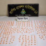 পলাশবাড়ীতে বেগম খালেদা জিয়া’র ৮০ তম  জন্মদিন পালিত