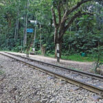 সিরাজগঞ্জে র‌্যাব-১২’র অভিযানে ১০৫ বোতল ফেন্সিডিলসহ দুই মাদক ব্যবসায়ী গ্রেফতার জব্দ দুটি মোটরসাইকেল, মোবাইল ও নগদ টাকা