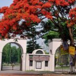 গাজীপুরে সাংবাদিক তুহিনকে জবাই করে হত্যা—বাংলাদেশ সেন্ট্রাল প্রেস ক্লাব (B.C.P.C) এর তীব্র নিন্দা ও কঠোর প্রতিবাদ।