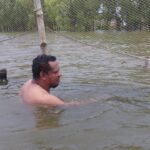 সাতক্ষীরার পাটকেলঘাটায় বাস ও কাভার্ড ভ্যানের মুখোমুখি সংঘর্ষ, আহত ১৫