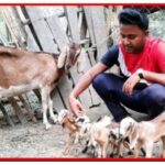 সাভারে সাংবাদিকতার আড়ালে রাজনীতির খেলা – সাংবাদিক অনিমার বিতর্কিত কর্মকাণ্ড