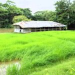 জয়পুরহাটে শিবির আয়োজিত বিজ্ঞান অলিম্পিয়াডের পুরস্কার বিতরণ অনুষ্ঠিত
