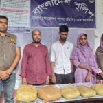 শহীদ নূর আলী কলেজে একাদশ শ্রেণির উদ্বোধনী ক্লাস ও পরিচিতি অনুষ্ঠান 