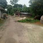 জোর করে নয় জনগণের ভোটের মাধ্যমেই সরকার প্রতিষ্ঠা করতে চাই…কেন্দ্রীয় নেত্রী আফরোজা আব্বাস