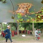 মাদারীপুরে পথসভায় ভাড়া করে লোক এনে, টাকা না দেয়ার অভিযোগে হট্টগোল