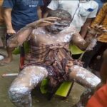 সিরাজগঞ্জে ডিবি পুলিশের অভিযানে ২০ কেজি গাঁজাসহ চার মাদক কারবারি আটক