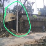 পতিত জমিতে মাল্টা চাষ করে, যুবকদের উদ্দ্যেক্তা করে তুলছেন – রনি মিত্র