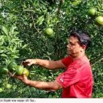 রাউজানে সরকারি রাস্তার ওপর ভবন নির্মাণের অভিযোগ, প্রশাসনের হস্তক্ষেপ কামনা স্থানীয়দের