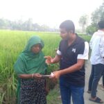 পলাশবাড়ীতে যুবদলের লিফলেট ও ধানের শীর্ষ প্রচার প্রচারণা ।