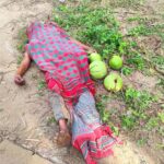 বানারীপাড়ার আলতা গ্রামের আব্দুল মজিদ মাঝি আর নেই