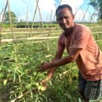 ঝিনাইদহ কালীগঞ্জে সড়ক দুর্ঘটনায় মা নিহত, মেয়ে আহত
