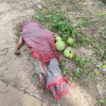 শ্যামনগরে বিএনপি মনোনয়ন প্রত্যাশী ড. মনিরুজ্জামান মনিরের গণ সংযোগ