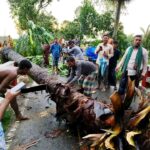 মাদারীপুরে পথসভায় আগ্নেঅস্ত্র প্রদর্শনে সমালোচনার ঝড়