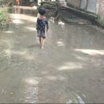 আওয়ামী লীগের আলাদা ভার্সন কোনভাবেই হতে দেওয়া হবে না -নওগাঁয় সার্জিস আলম