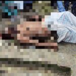 ইবিতে যশোর জেলা ছাত্রকল্যাণের নবীনবরণ; বার্ষিক ম্যাগাজিনের মোড়ক উন্মোচন