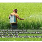 শ্যামনগর উপজেলা নির্বাহী অফিসারকে সাইদারের পক্ষ থেকে বিদায়ী সংবর্ধনা