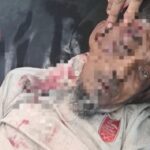 পলাশবাড়ীর পবনাপুরে ধানের শীর্ষের পক্ষে ৩১ দফার লিফলেট