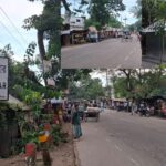 ভূঞাপুরে বিনামূল্যে বীজ ও সার বিতরণ