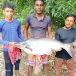 বিজয়নগরে শত বছরের ঐতিহ্যবাহী পুকুর ভরাটের প্রতিবাদে মানববন্ধন,পুলিশের বাধা