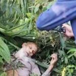 ব্রাহ্মণবাড়িয়া মোটরসাইকেলে অটোরিকশার ধাক্কা লাগাকে কেন্দ্র করে অটোচালক নিহত।