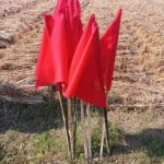 শেখ হাসিনাকে ফেরত না দেওয়া পর্যন্ত ভারতের মতামত গুরুত্বহীন:এনসিপি নেতা সারজিস আলম