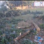 কালুখালীর মদাপুরে পেঁয়াজের বীজতলা নষ্ট, 