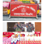 বানারীপাড়ায় অপারেশন ডেভিল হান্টে গ্রেফতার সাবিনা ইয়াসমিন