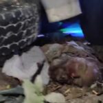 প্রবাসীদের সেবায় নিরলস প্রচেষ্টার জন্য সম্মাননা পেল আশ ফাউন্ডেশন