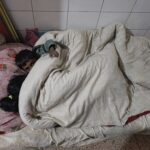 নওগাঁয় জায়গাঁ-জমি নিয়ে বিরোধে বাড়ি ঘিরে রাখার অভিযোগ