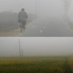 সুন্দরবনের হরিণ লোকালয়ে পর বনবিভাগ কর্তৃক সুন্দরবনে অবমুক্ত