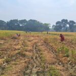 ঝিনাইদহে পরিবারকল্যাণ কর্মীদের নিয়োগবিধি বাস্তবায়নের দাবিতে অবস্থান কর্মসূচি