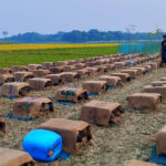 বাংলাদেশের ইতিহাসে বুদ্ধিজীবী হত্যাকাণ্ড ছিল একটি সুপরিকল্পিত ষড়যন্ত্র- হাজী ইয়াছিন