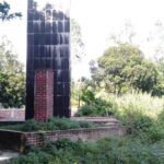 আমদানির খবরে সাতক্ষীরায় পেঁয়াজের দাম কমলো কেজিতে ৩০ টাকা