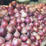 পলাশবাড়ী হানাদার মুক্ত দিবস আজ