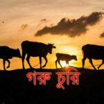 প্রশাসনের পক্ষ থেকে দ্বীপ ইউনিয়ন গাবুরার নির্বাচনী কেন্দ্রসমুহ পরিদর্শন