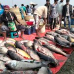 জবাবদিহির এক অনন্য দৃষ্টান্ত স্থাপন করলেন রাবিপ্রবি উপাচার্য